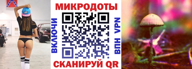 Псилоцибиновые грибы Psilocybe  Белая Холуница 